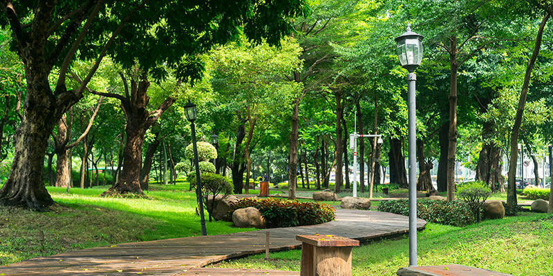 image of a Bella Vista park for SEO services